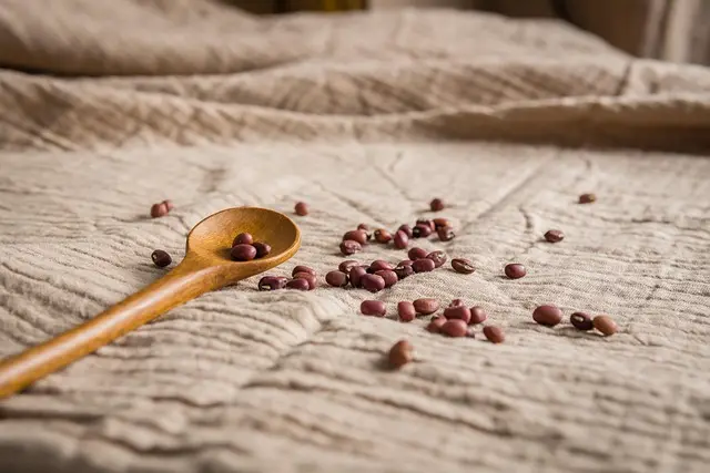 Le meilleur légume à cultiver en intérieur