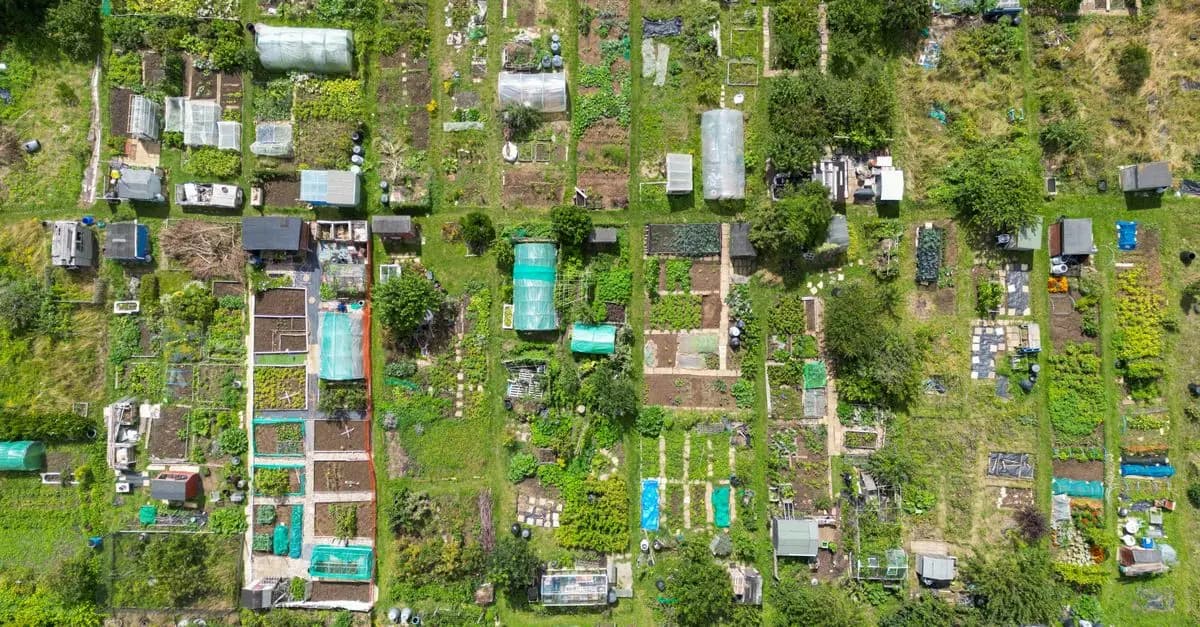 Guide d'achat des légumes à cultiver en permaculture
