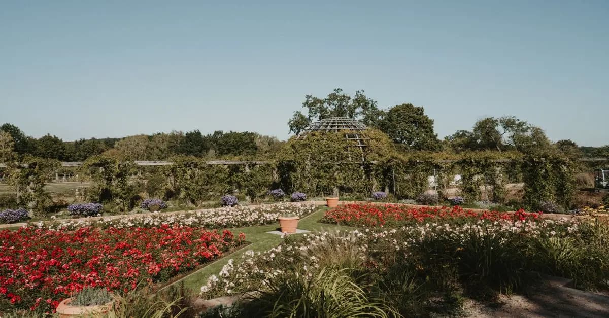Meilleurs légumes pour jardinières verticales