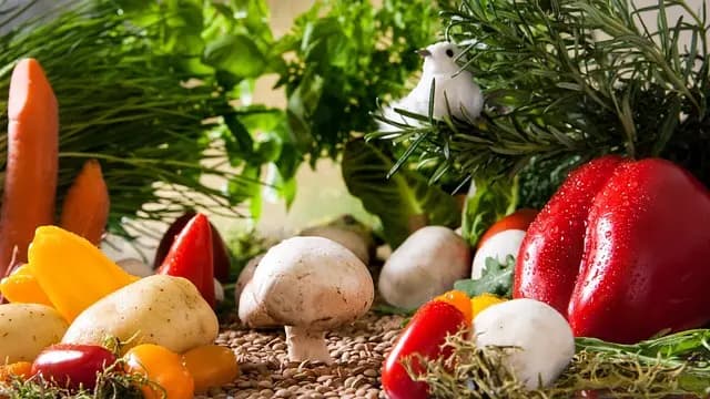 Guide d'achat des meilleurs légumes bio