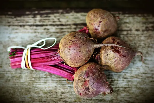 Guide d'achat des légumes pour enfants : choisir les meilleurs produits